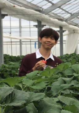 Lay Kim Seng